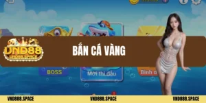 Bắn cá vàng