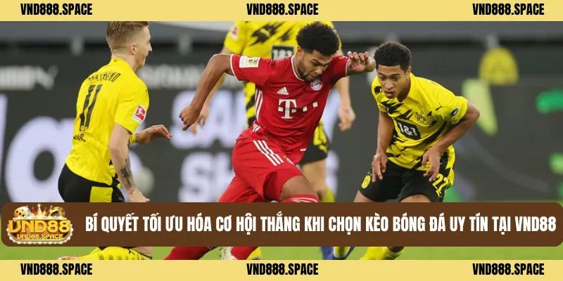 Bí Quyết Tối Ưu Hóa Cơ Hội Thắng Khi Chọn Kèo Bóng Đá Uy Tín Tại VND88
