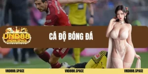 Cá độ bóng đá