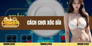 Cách chơi xóc đĩa