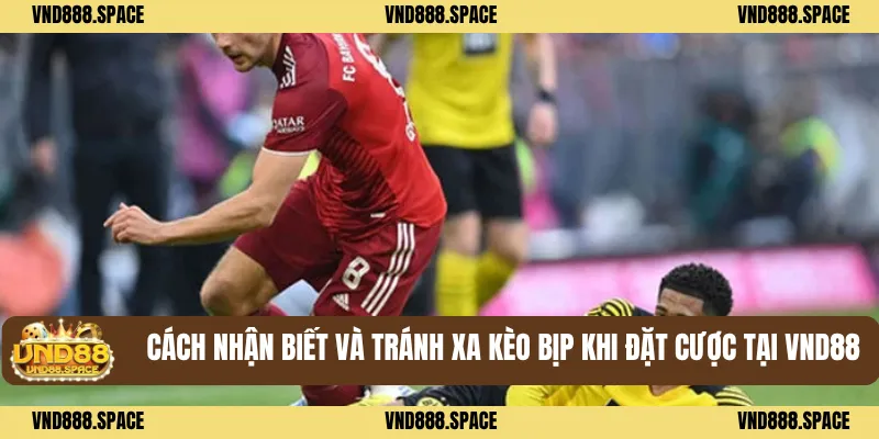 Sự Thật Về Kèo Bóng Đá Bịp Của Nhà Cái VND88 3 Cách Nhận Biết Và Tránh Xa Kèo Bịp Khi Đặt Cược Tại VND88