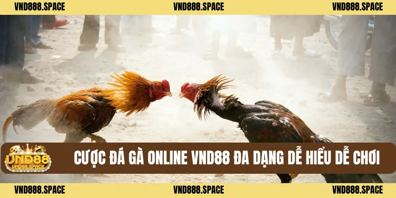Cược Đá gà online VND88 đa dạng dễ hiểu dễ chơi