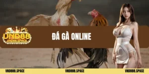Đá gà online