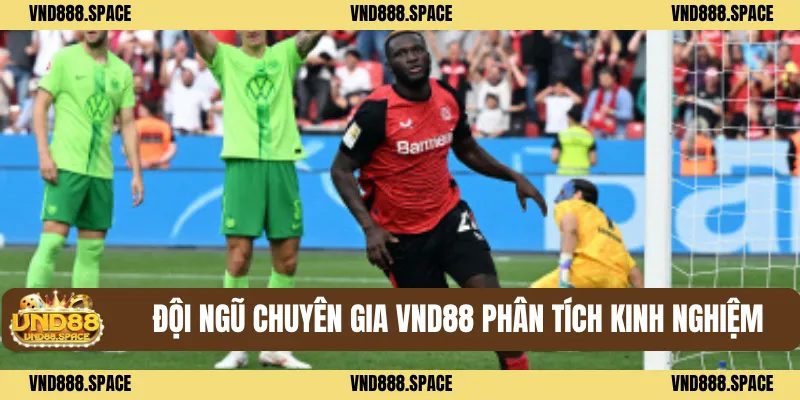 Đội ngũ chuyên gia VND88 phân tích kinh nghiệm