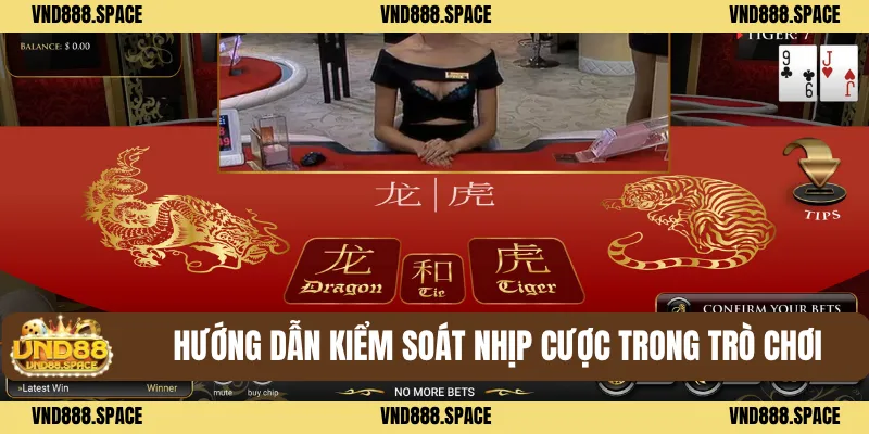 Hướng dẫn kiểm soát nhịp cược trong trò chơi