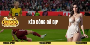 Kèo bóng đá bịp