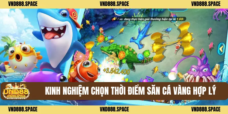 Bắn Cá Vàng VND88 - Bí Kíp Săn Xu Cực Đỉnh Dễ Trúng 2 Kinh nghiệm chọn thời điểm săn cá vàng hợp lý