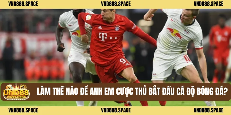 Làm thế nào để anh em cược thủ bắt đầu Cá độ bóng đá?