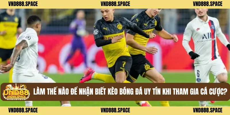 Làm Thế Nào Để Nhận Biết Kèo Bóng Đá Uy Tín Khi Tham Gia Cá Cược?