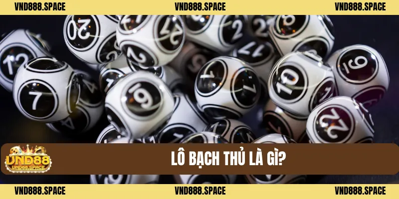 Lô bạch thủ là gì?