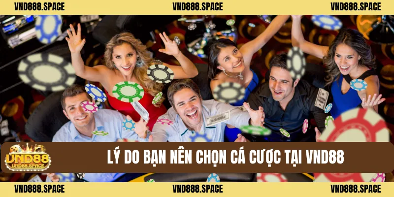 Lý do bạn nên chọn cá cược tại VND88
