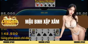 Mậu binh xập xám