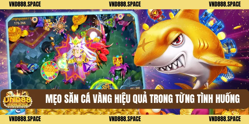 Bắn Cá Vàng VND88 - Bí Kíp Săn Xu Cực Đỉnh Dễ Trúng 3 Mẹo săn cá vàng hiệu quả trong từng tình huống