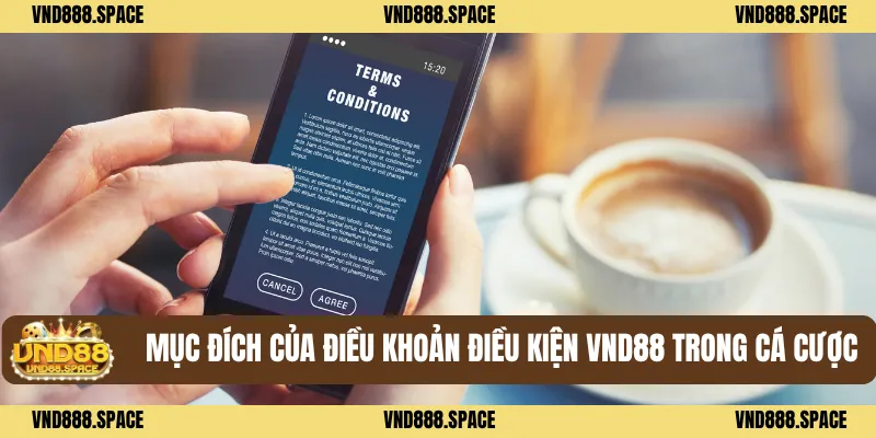 Điều Khoản Điều Kiện VND88 2 Mục đích của điều khoản điều kiện VND88 trong cá cược