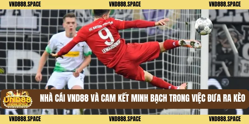 Sự Thật Về Kèo Bóng Đá Bịp Của Nhà Cái VND88 2 Nhà Cái VND88 Và Cam Kết Minh Bạch Trong Việc Đưa Ra Kèo