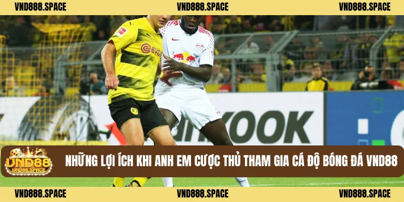 Những lợi ích khi anh em cược thủ tham gia cá độ bóng đá VND88