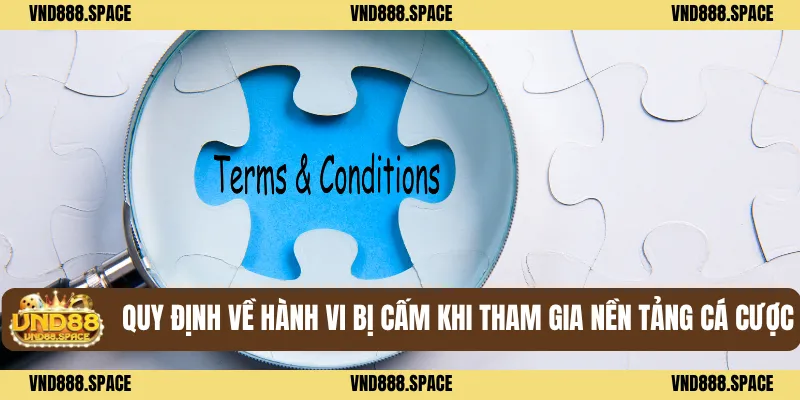 Điều Khoản Điều Kiện VND88 3 Quy định về hành vi bị cấm khi tham gia nền tảng cá cược