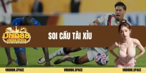 Soi cầu tài xỉu
