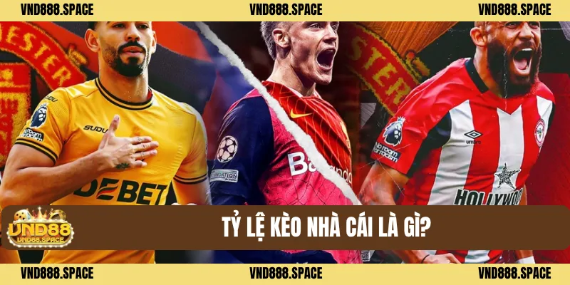 Tỷ lệ kèo nhà cái là gì?