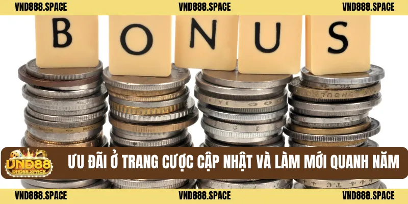 Khuyến Mãi VND88 3 Ưu đãi ở trang cược cập nhật và làm mới quanh năm