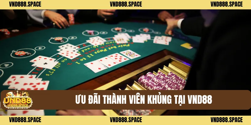 Ưu đãi thành viên khủng tại VND88