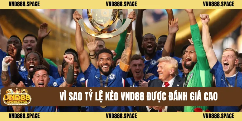 Vì sao tỷ lệ kèo VND88 được đánh giá cao