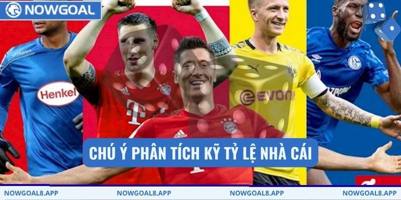 Chú ý phân tích kỹ tỷ lệ nhà cái